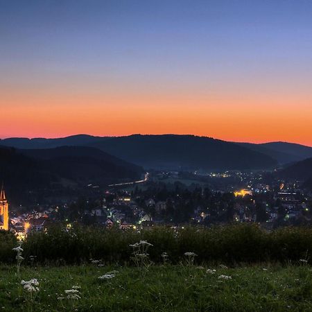 Drei Tannen - Wohnung 09 - Apartmenthaus, Titisee, Feldberg المظهر الخارجي الصورة