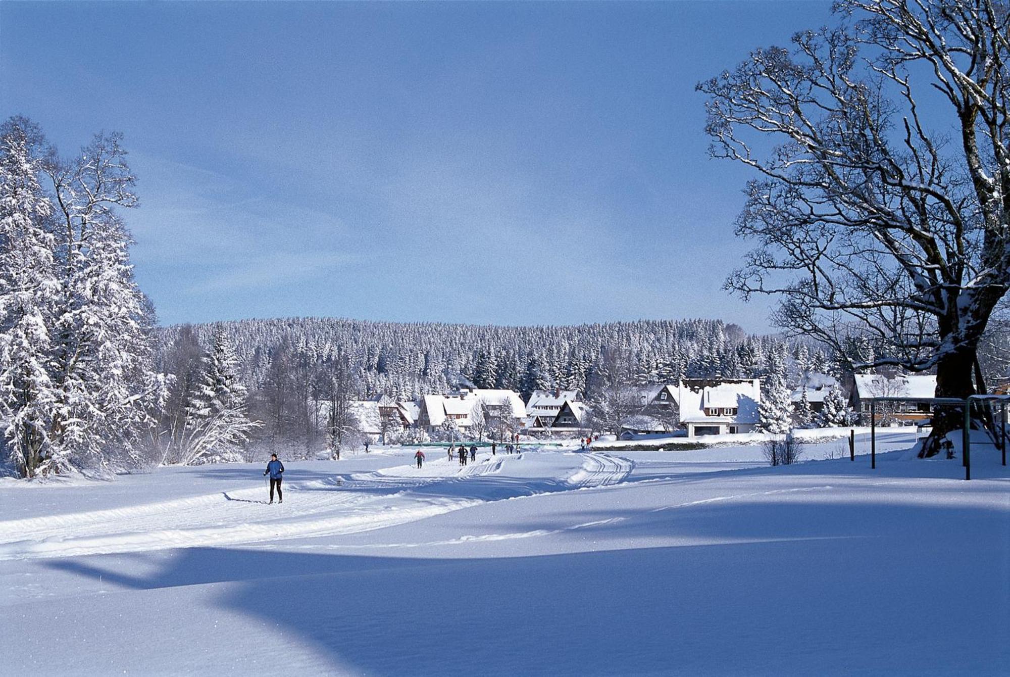Drei Tannen - Wohnung 09 - Apartmenthaus, Titisee, Feldberg المظهر الخارجي الصورة