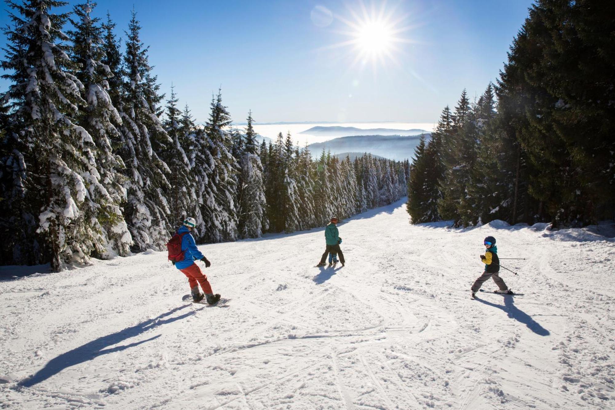Drei Tannen - Wohnung 09 - Apartmenthaus, Titisee, Feldberg المظهر الخارجي الصورة