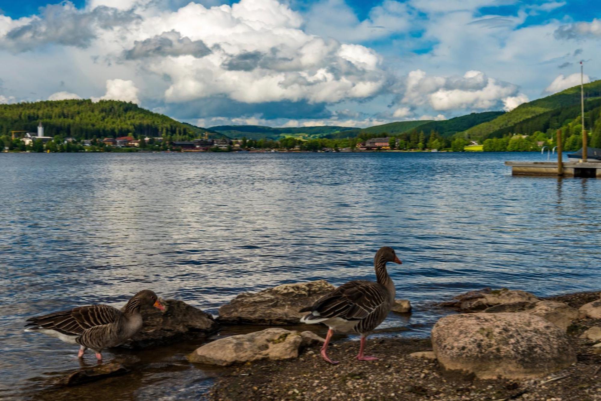 Drei Tannen - Wohnung 09 - Apartmenthaus, Titisee, Feldberg المظهر الخارجي الصورة