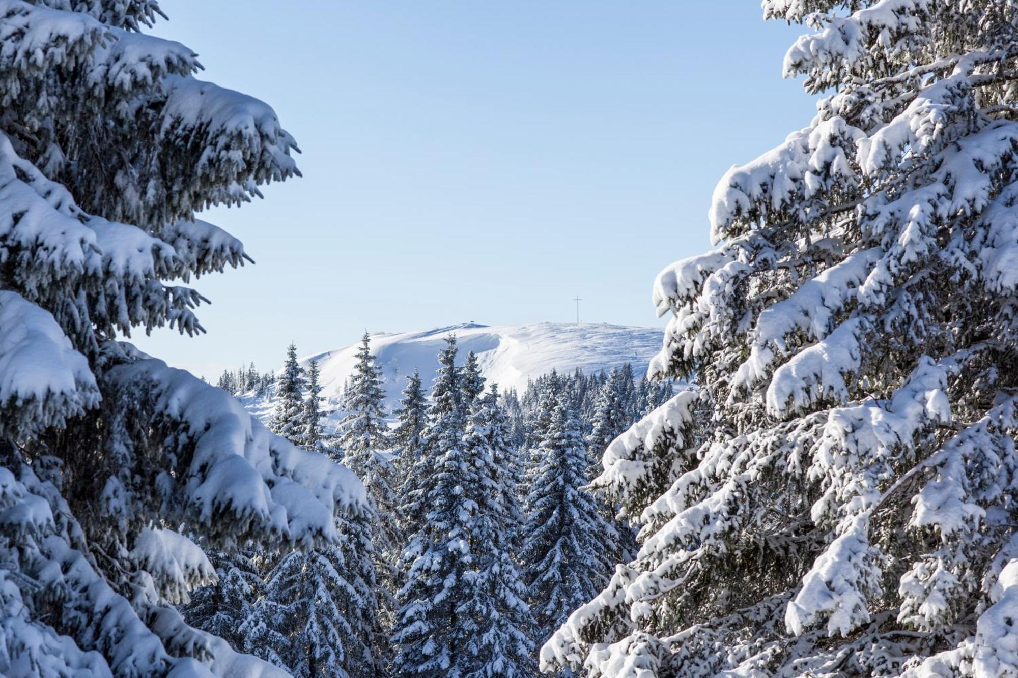 Drei Tannen - Wohnung 09 - Apartmenthaus, Titisee, Feldberg المظهر الخارجي الصورة
