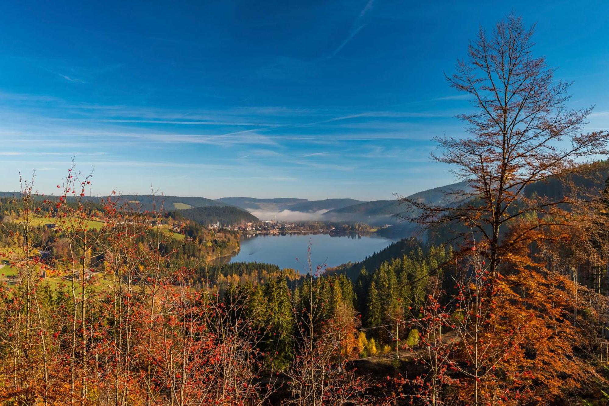 Drei Tannen - Wohnung 09 - Apartmenthaus, Titisee, Feldberg المظهر الخارجي الصورة