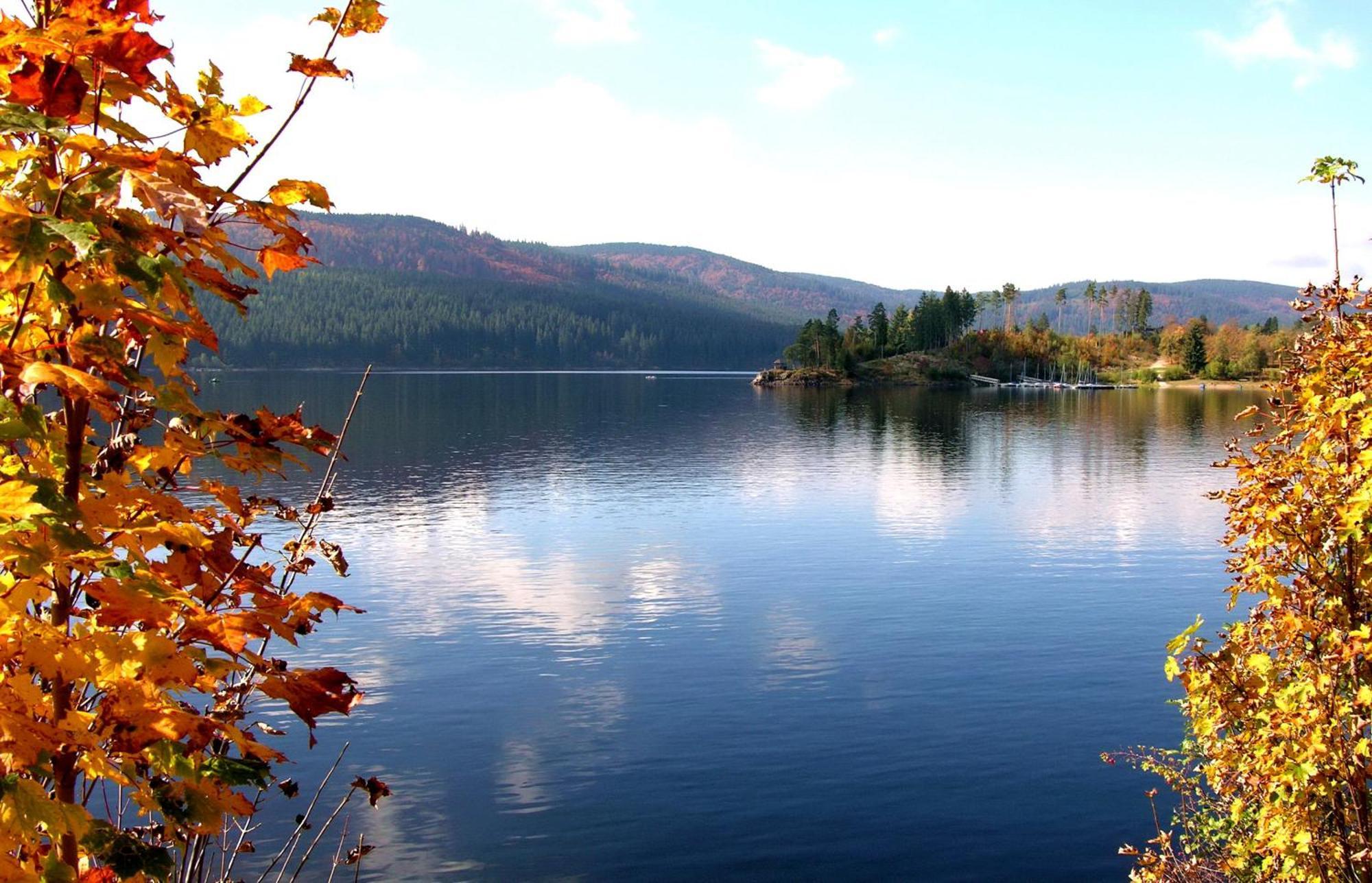 Drei Tannen - Wohnung 09 - Apartmenthaus, Titisee, Feldberg المظهر الخارجي الصورة